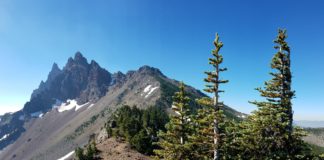 Pacific Crest Trail during Covid-19